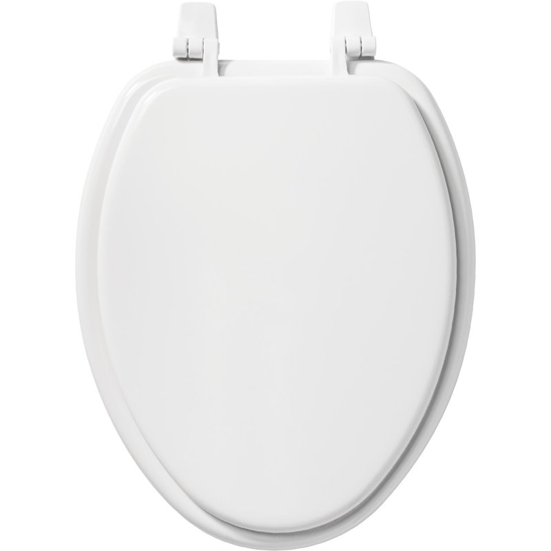 Bemis Wood Elongated Toilet Seat & Reviews Wayfair